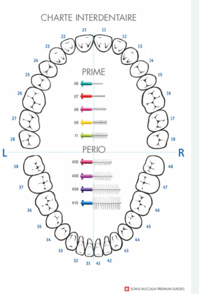 CPS Interdental Brushes «PERIO» PLUS by CURAPROX